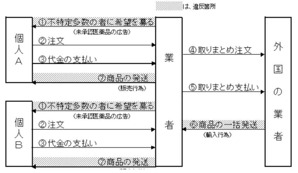 医薬品の個人輸入代行業者の業務のイメージ画像 医薬品の個人輸入代行業者の業務のイメージ画像