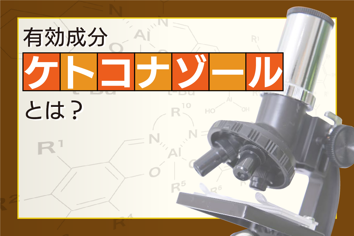 有効成分ケトコナゾールの作用とは?病気が治る仕組みをわかりやすく説明します