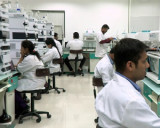 Ajanta Pharma Ltd