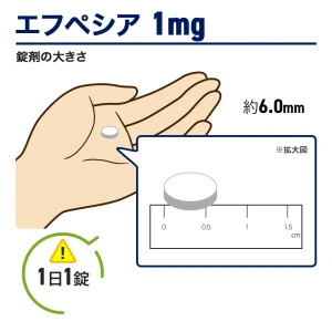エフペシア画像7