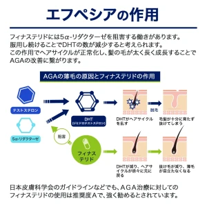 エフペシア画像9