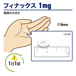 フィナックス画像5