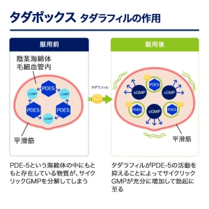 タダポックス画像6