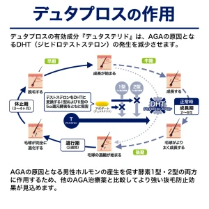 デュタプロス画像9