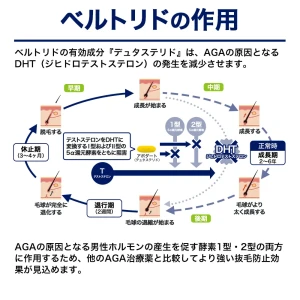 ベルトリド画像9