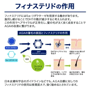 モールエフ画像9