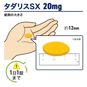 タダリスSX画像7