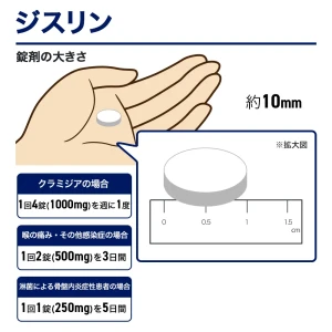 ジスリン画像7