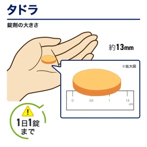 タドラ画像7