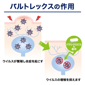 バルトレックス画像9