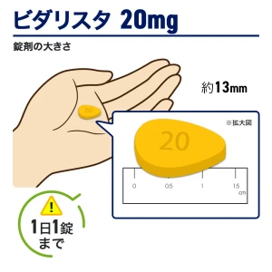 ビダリスタ画像5