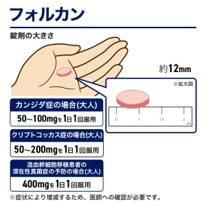 フォルカン画像8