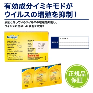 イミクアッド画像6
