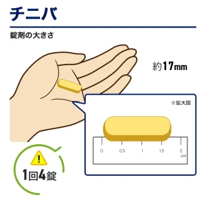 チニバ画像5