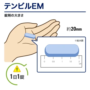 テンビルEM画像10