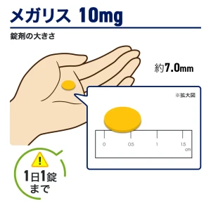 メガリス画像7