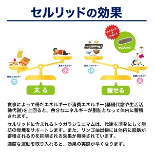セルリッド画像7