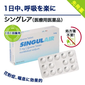 シングレア画像6