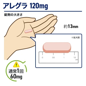 アレグラ画像7