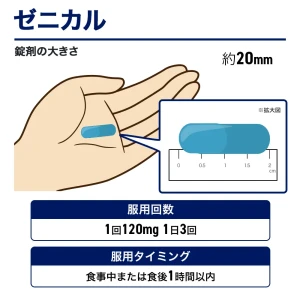 ゼニカル画像7