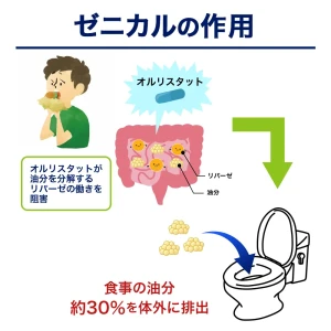 ゼニカル画像8