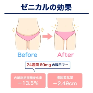 ゼニカル画像9