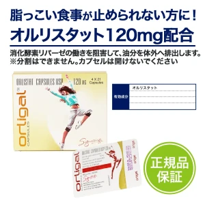 オルリガル画像6