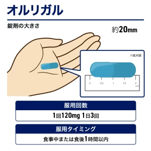 オルリガル画像7