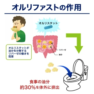 オルリファスト画像8