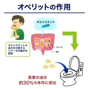オベリット画像8