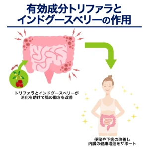 トリファラ画像9