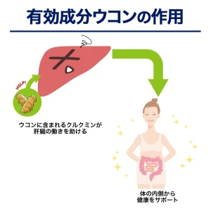 ハリドラ画像9