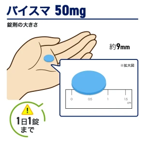 バイスマ画像7