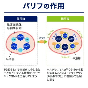 バリフ画像7