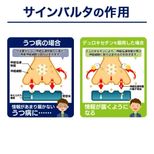 サインバルタ画像9