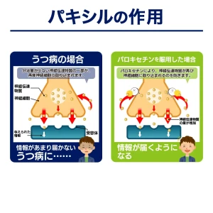 パキシル画像8