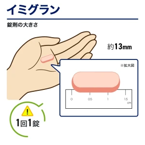イミグラン画像8