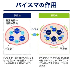 バイスマ画像9