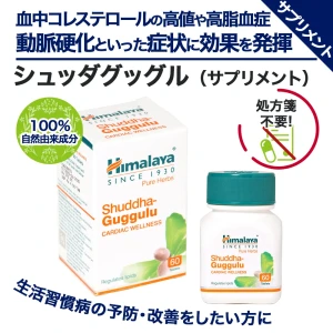 シュッダグッグル画像7