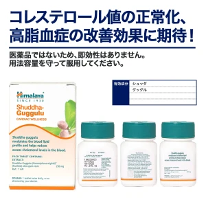 シュッダグッグル画像8