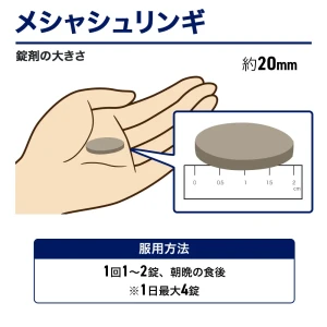 メシャシュリンギ画像7