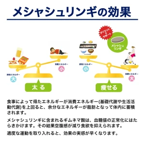 メシャシュリンギ画像8