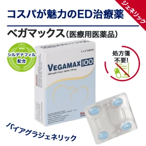 ベガマックス画像6