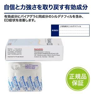 ベガマックス画像7