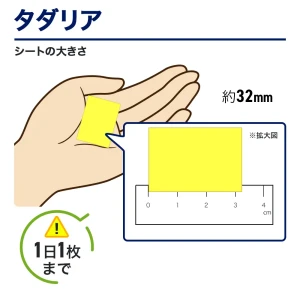 タダリア画像7