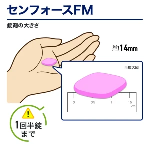 センフォースFM画像5