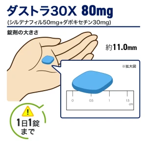 ダストラ30X画像7