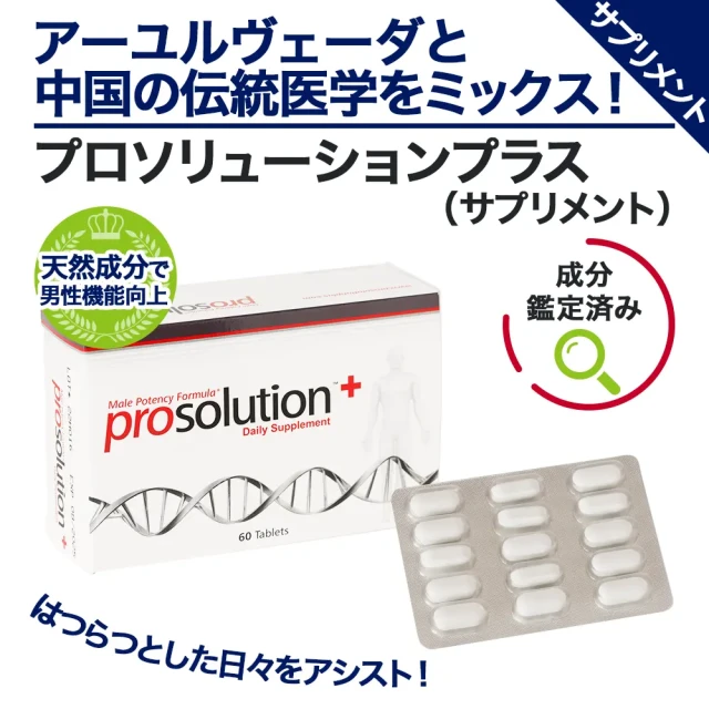 プロソリューションプラス