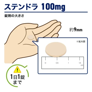 ステンドラ画像7