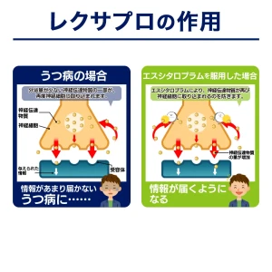 レクサプロ画像8